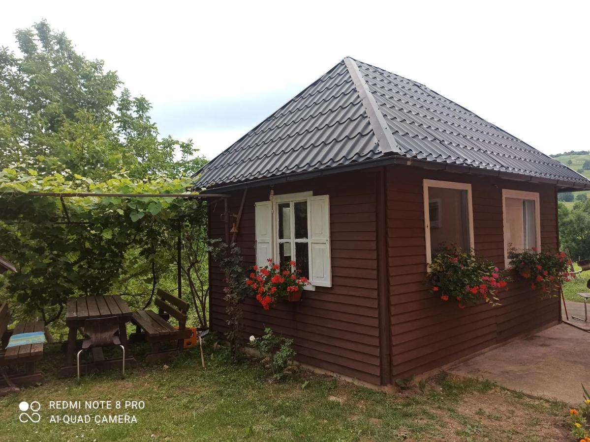 Guesthouse Blazenka Hodak Seliste Dreznicko Ngoại thất bức ảnh